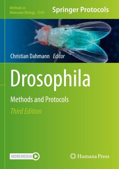 Drosophila