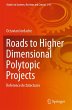 Roads to Higher Dimensional Polytopic... - Bild 1