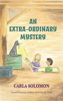 An Extra-Ordinary Mystery - Solomon, Carla