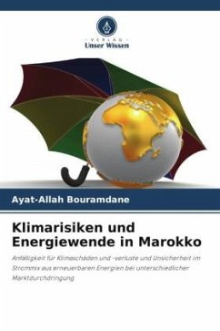 Klimarisiken und Energiewende in Marokko - Bouramdane, Ayat-Allah