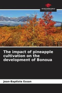 The impact of pineapple cultivation on the development of Bonoua - Essan, Jean-Baptiste