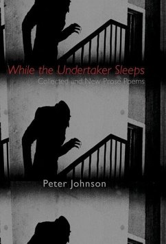While the Undertaker Sleeps - Johnson, Peter