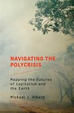 Navigating the Polycrisis (eBook, ePUB) Navigating the Polycrisis (eBook, ePUB)
