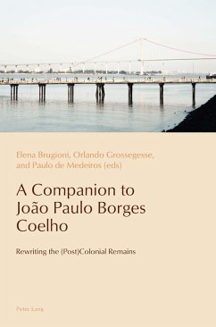 A Companion to João Paulo Borges Coelho (eBook, PDF)