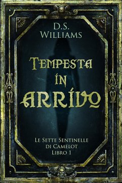 Tempesta in arrivo (eBook, ePUB) - Williams, D.S.