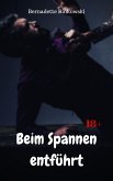 Beim Spannen entführt (eBook, ePUB)