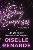 Sexy Surprises Volume 4: 24 Stories of Passionate Couples (eBook, ePUB) Sexy Surprises Volume 4: 24 Stories of Passionate Couples (eBook, ePUB)