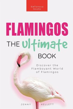 Flamingos - Kellett, Jenny