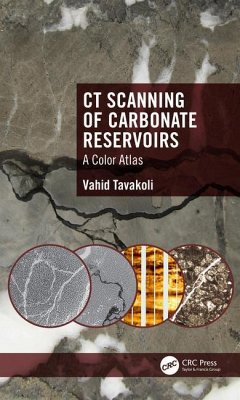 CT Scanning of Carbonate Reservoirs - Tavakoli, Vahid