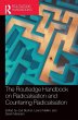 The Routledge Handbook on... - Bild 1