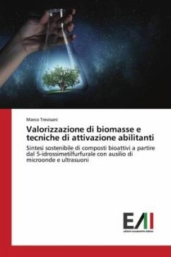 Valorizzazione di biomasse e tecniche di attivazione abilitanti - Trevisani, Marco
