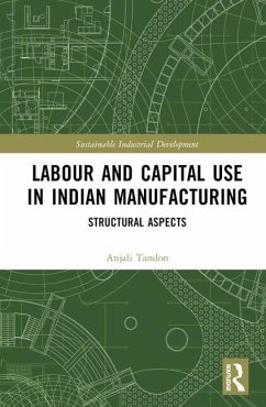 Labour and Capital Use in Indian Manufacturing - Tandon, Anjali