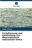 Fortpflanzung und Entwicklung von Meeresplanarie Sabussowia dioica