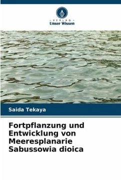 Fortpflanzung und Entwicklung von Meeresplanarie Sabussowia dioica - Tekaya, Saida