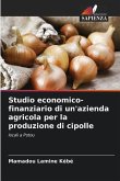 Studio economico-finanziario di un'azienda agricola per la produzione di cipolle
