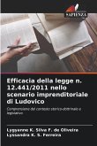 Efficacia della legge n. 12.441/2011 nello scenario imprenditoriale di Ludovico