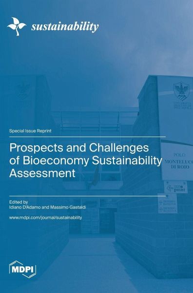 Prospects and Challenges of Bioeconomy Sustainability Assessment