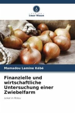 Finanzielle und wirtschaftliche Untersuchung einer Zwiebelfarm - Kébé, Mamadou Lamine