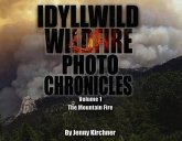 Idyllwild Wildfire Photo Chronicles: Volume 1