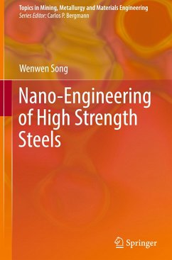 Nano-Engineering of High Strength Steels - Song, WenWen