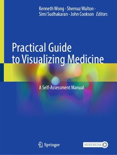 Practical Guide to Visualizing Medicine (eBook, PDF)