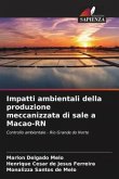 Impatti ambientali della produzione meccanizzata di sale a Macao-RN