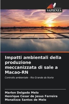 Impatti ambientali della produzione meccanizzata di sale a Macao-RN - Melo, Marlon Delgado;Ferreira, Henrique Cesar de Jesus;de Melo, Monalizza Santos