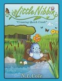 The Little Nibbin: Crossing Quick Creek
