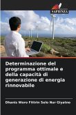 Determinazione del programma ottimale e della capacità di generazione di energia rinnovabile