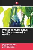 Pragas da Ovinocultura: Incidência sazonal e gestão