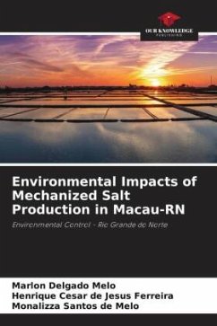 Environmental Impacts of Mechanized Salt Production in Macau-RN - Melo, Marlon Delgado;Ferreira, Henrique Cesar de Jesus;de Melo, Monalizza Santos