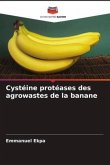 Cystéine protéases des agrowastes de la banane