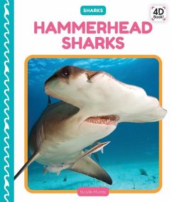 Hammerhead Sharks - Murray, Julie