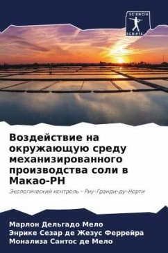Vozdejstwie na okruzhaüschuü sredu mehanizirowannogo proizwodstwa soli w Makao-RN - Melo, Marlon Del'gado;Ferrejra, Jenrike Sezar de Zhezus;de Melo, Monaliza Santos