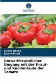 Umweltfreundlicher Umgang mit der Kraut- und Knollenfäule der Tomate