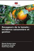 Ravageurs de la tomate : Incidence saisonnière et gestion