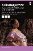 Birthing Justice (eBook, PDF)