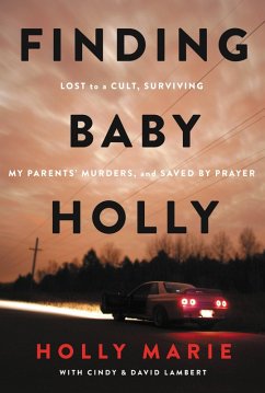 Finding Baby Holly (eBook, ePUB) - Marie, Holly