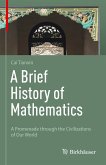 A Brief History of Mathematics (eBook, PDF)
