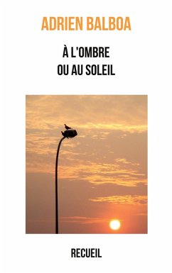 À l'ombre ou au soleil (eBook, ePUB) - Balboa, Adrien