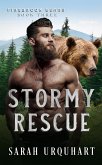 Stormy Rescue (Firebrook Bears, #3) (eBook, ePUB)