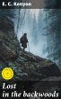 Lost in the backwoods (eBook, ePUB) - Bild 1