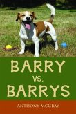 Barry VS. Barrys (eBook, ePUB)