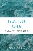 Agua de mar para principiantes (eBook, ePUB)