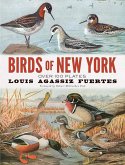 Birds of New York (eBook, ePUB)