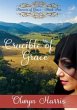 Crucible of Grace (eBook, ePUB) - Bild 1