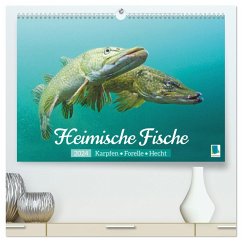 Heimische Fische: Karpfen, Forelle, Hecht (hochwertiger Premium Wandkalender 2024 DIN A2 quer), Kunstdruck in Hochglanz