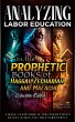Analyzing Labor Education in the... - Bild 1