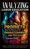 Analyzing Labor Education in the Prophetic Books of Haggai, Zechariah and Malachi (The Education of Labor in the Bible, #21) (eBook, ePUB)