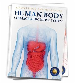 Human Body: Stomach and Digestive System - Wonder House Books